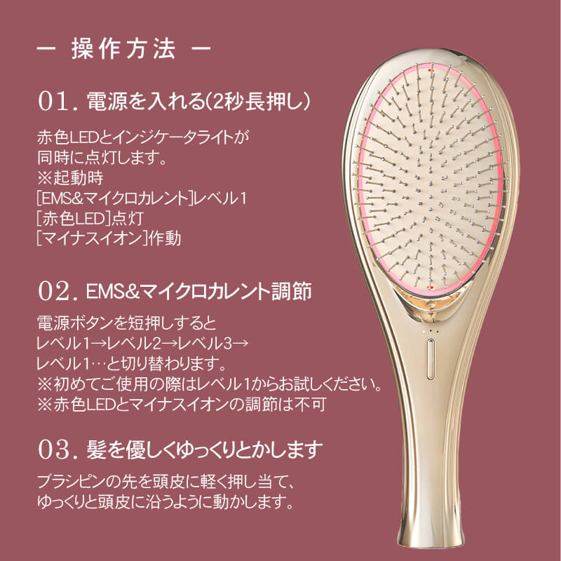 EMS Brush Air EMSブラシエアー