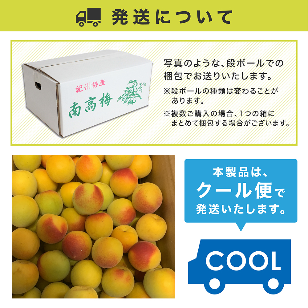 クール便対応 和歌山県紀南産　完熟紅南高梅2㎏ 秀品4L 楽天市場】南高梅 完熟 本場紀州産 クール便 送料無料【 2L