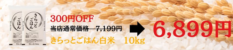 きらっとごはん