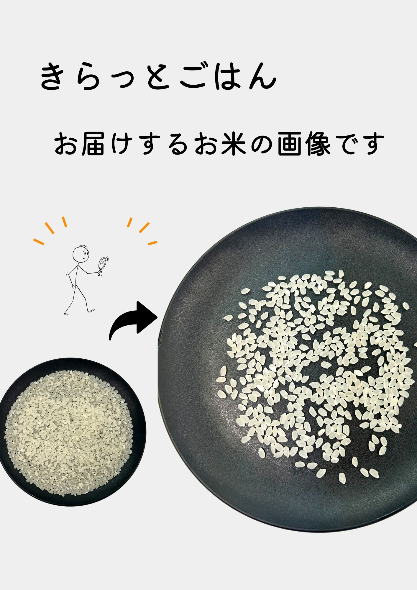 きらっとごはん3