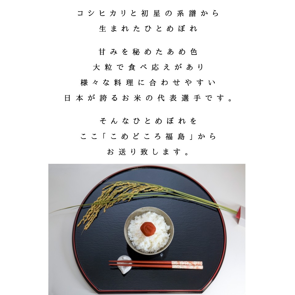 新米】【P10倍、クーポンで10％OFF】令和4年産 米 10kg 福島県産ひとめぼれ 5kg×2袋 お米 白米 送料無料 あすつく ふくしまプライド。 体感キャンペーン :4562129938740-2:会津CROPS - 通販 - Yahoo!ショッピング