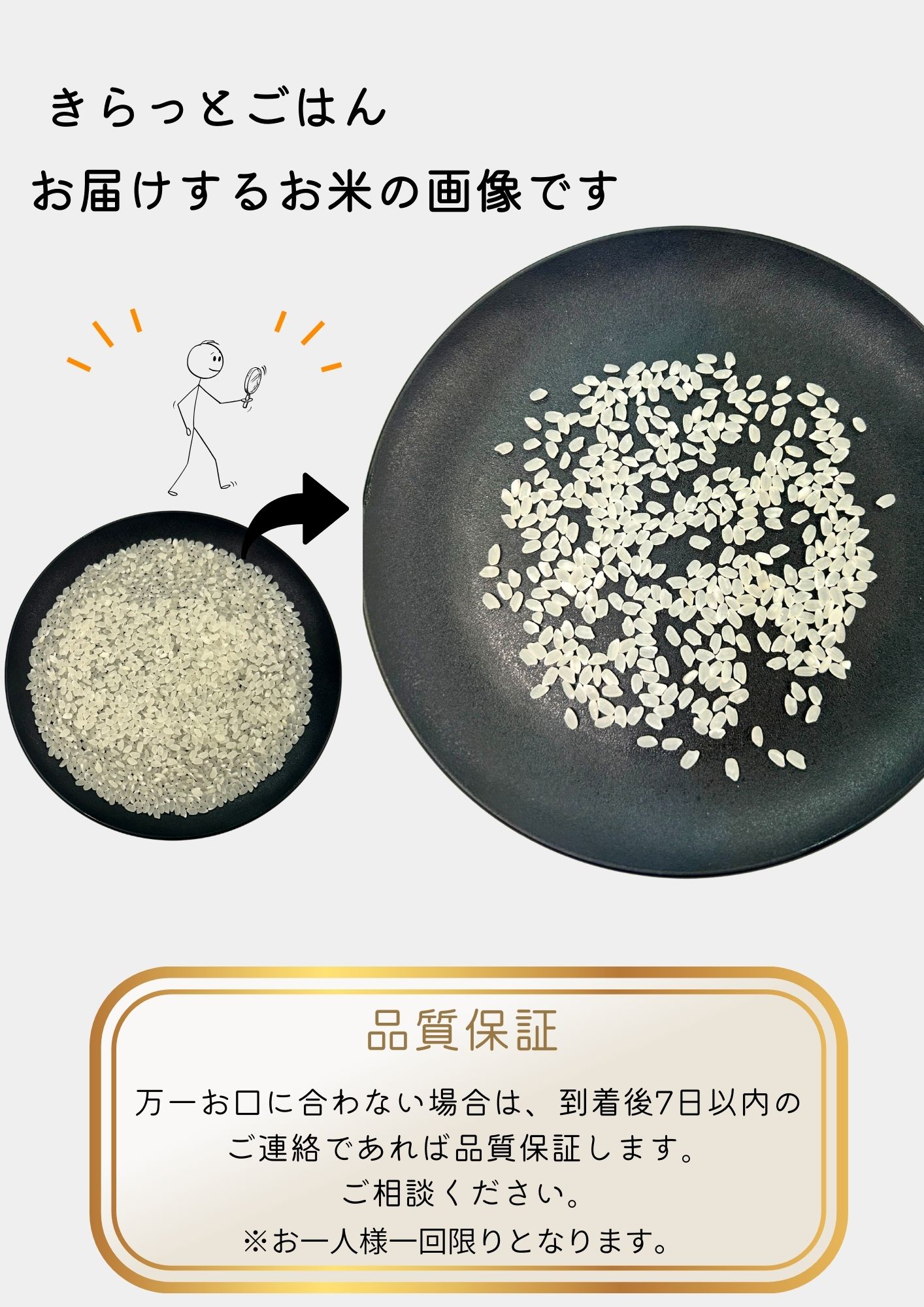 きらっとごはん3