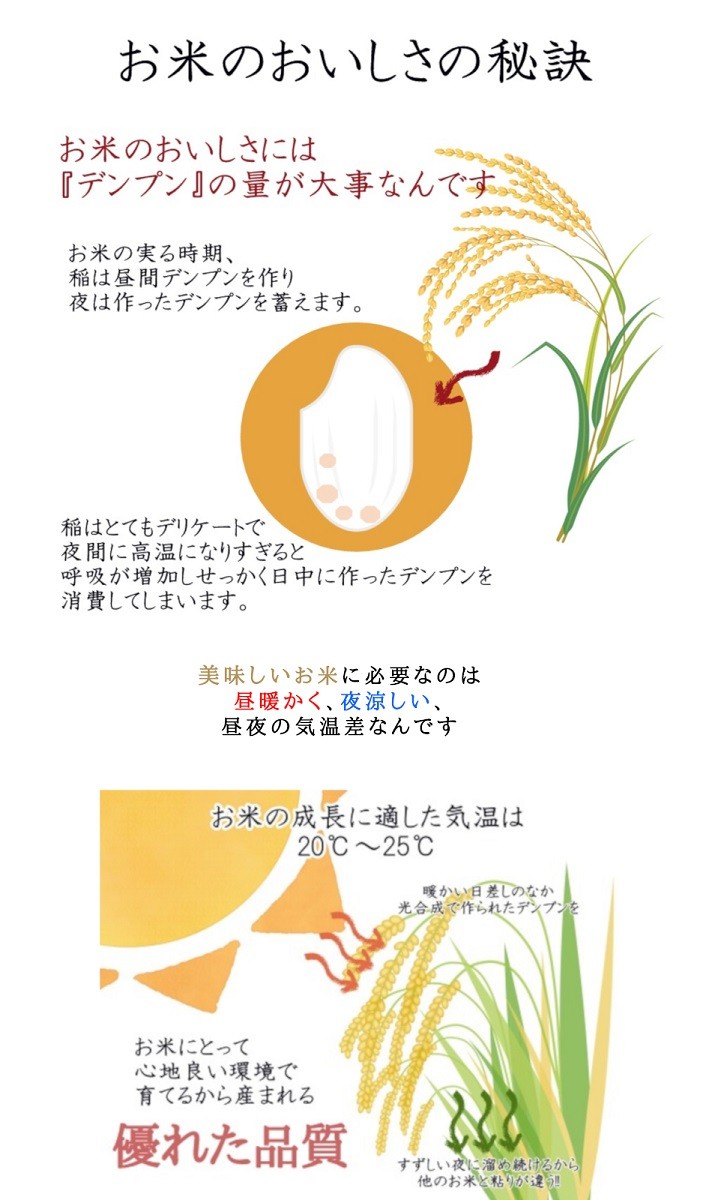 令和7年産 福島県産つきあかり 白米 送料無料 10kg(5kg×2袋) 米 お米 白米 コメ こめ 白米 10kg 関連画像5