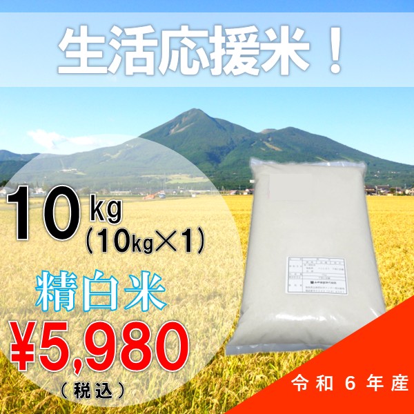 数量限定！】生活応援米 令和6年産 10kg 白米 ブレンド米 会津産 訳