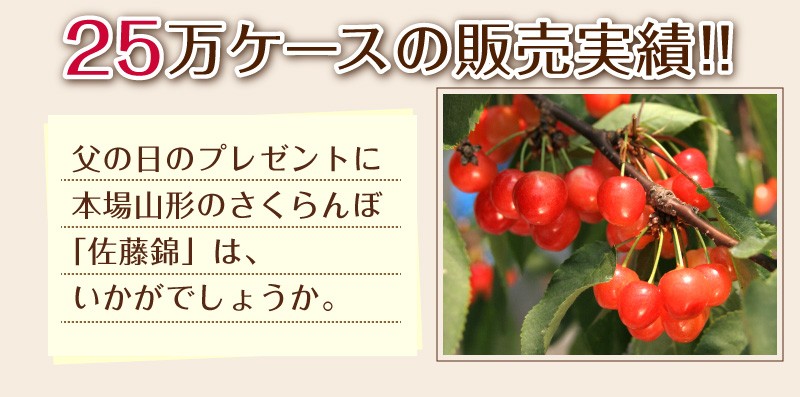 25万ケース