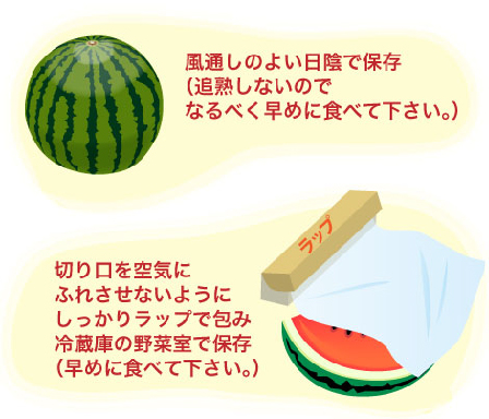 スイカの保存方法イメージ