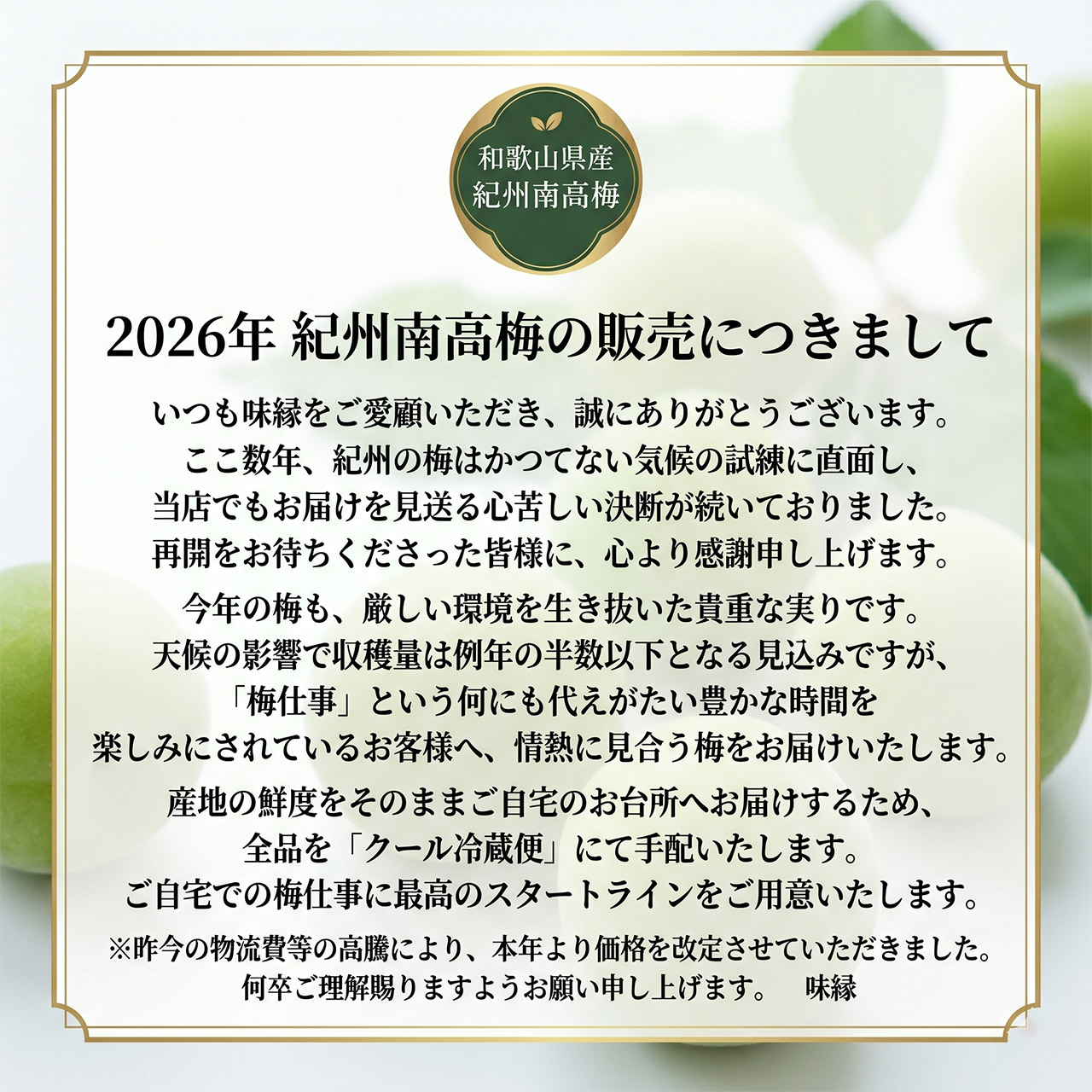 早期ご予約受付中 紀州南高梅 加工用 生梅 2L 5Kg×2箱 10Kg 和歌山