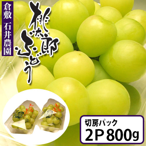 完売御礼　石井農園の桃太郎ぶどう 2Kg　種なしで皮ごと食べるまるで爽やかなゼリーのようなぶどう　ご自宅用パック ぶどう 岡山 倉敷 フルーツ