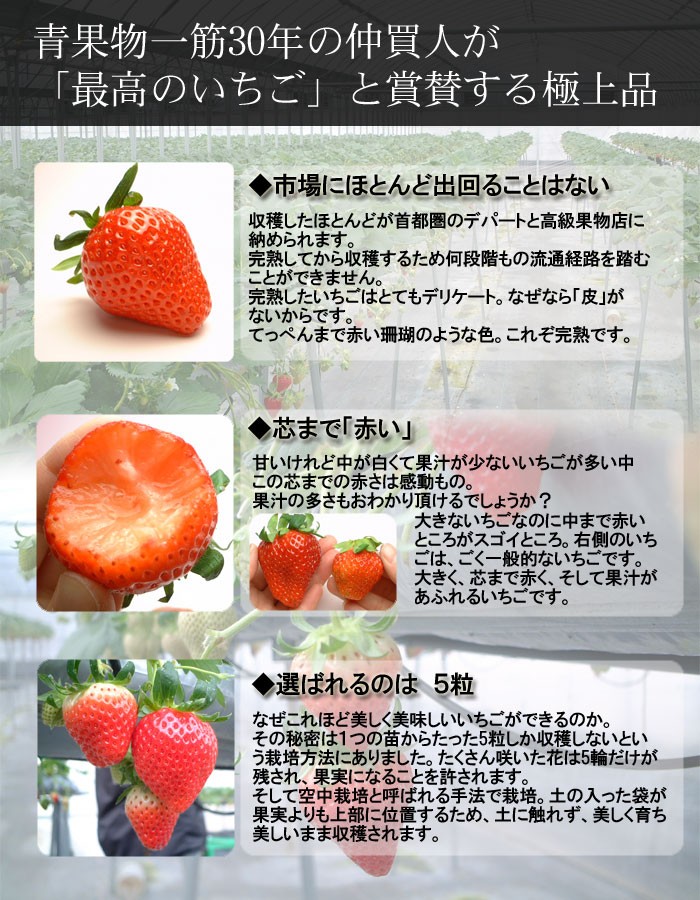幻の女峰いちご 香川県三木町産 秀15もしくは18個入/箱 最高級苺 送料