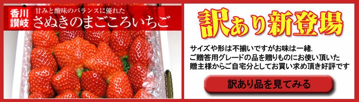 幻の女峰いちご 香川県三木町産 秀15もしくは18個入/箱 最高級苺 送料