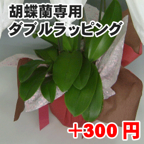ダブルラッピング