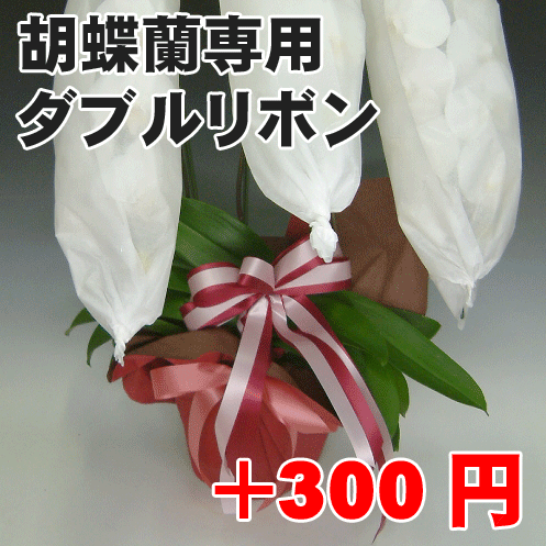 ダブルリボン