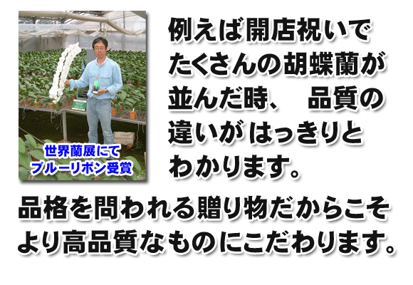 例えば開店祝いでたくさんの胡蝶蘭が並んだときその違いがハッキリ分ります。