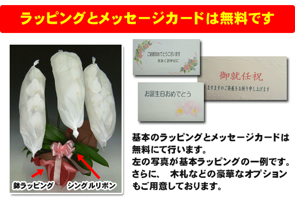 基本ラッピングとメッセージカードは無料です。
