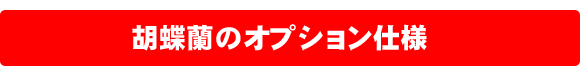 胡蝶蘭のラッピングオプション