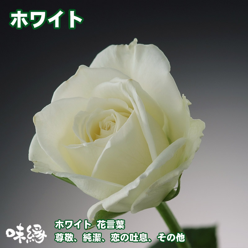 農家直送 色が選べるバラの花束ギフト10本 : 味縁 - 通販 - Yahoo