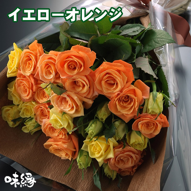 ☆農家直送B級品カーネーション100本福袋☆ 有機
