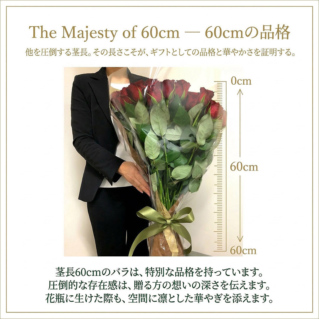 60cmの品格