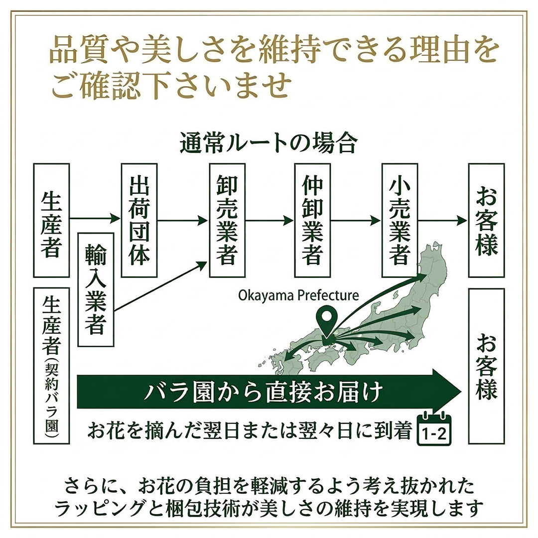 流通ルート比較