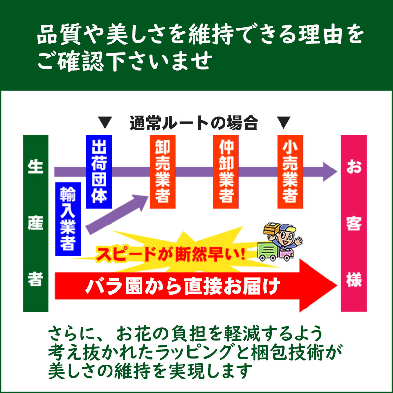 バラ額縁セット ArtRoom aobagasou 額装福箱 通販決定