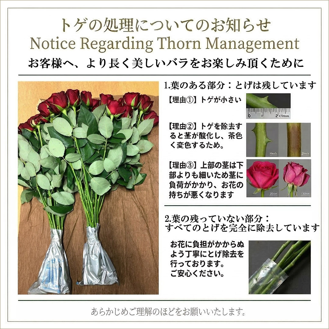 トゲ処理の流儀
