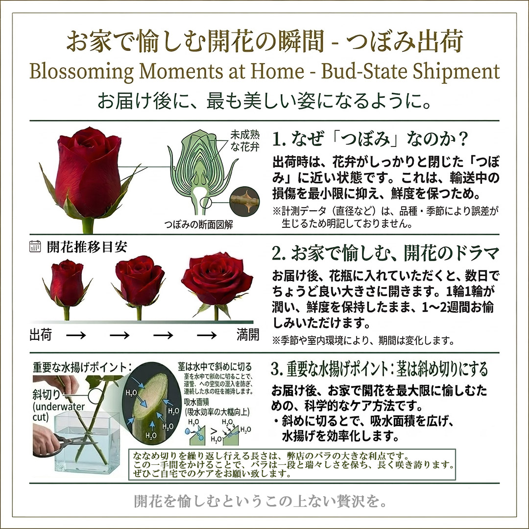 つぼみ出荷の理由