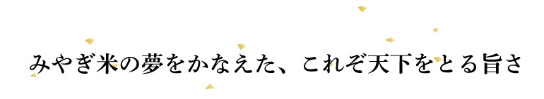 宮城県産だて正夢キャッチコピー