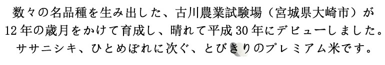 宮城県産だて正夢タイトル