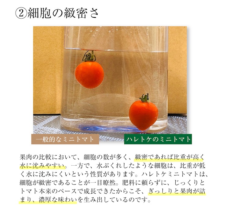 自然栽培のステラミニトマト 300g×4パック （約1.2kg） 自然ファームハレトケ ミニトマト 北海道産 固定種 種子消毒なし 自家採種  :114-v01:自然栽培の仲間たち*奇跡のリンゴ 木村秋則* 通販 