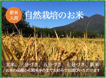 自然栽培のお米