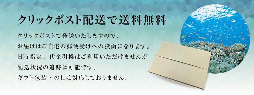 石垣の塩 送料無料 メール便 150g袋 天日干し 天然海塩 沖縄 石垣島 ポイント消化 :oki-ishi-02:北区赤羽商店 - 通販 -  Yahoo!ショッピング