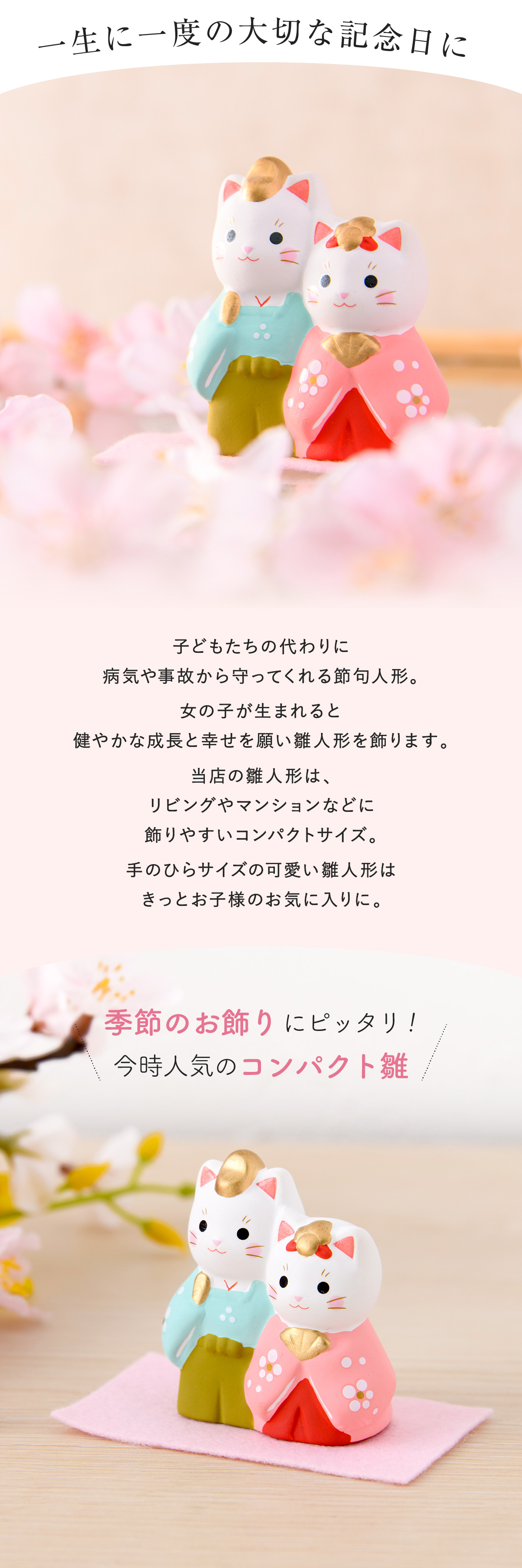 小さいかわいいお雛様　新品　未使用品 雛人形 ひな人形【選べる2種類】咲良 さくら 間口58cm ケース飾り
