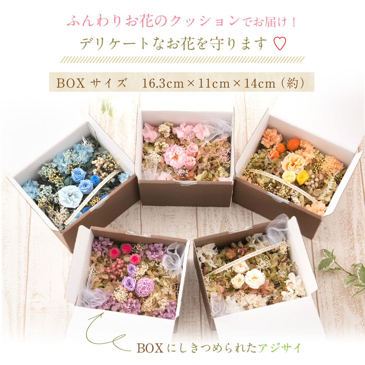 hana-club_pb602y