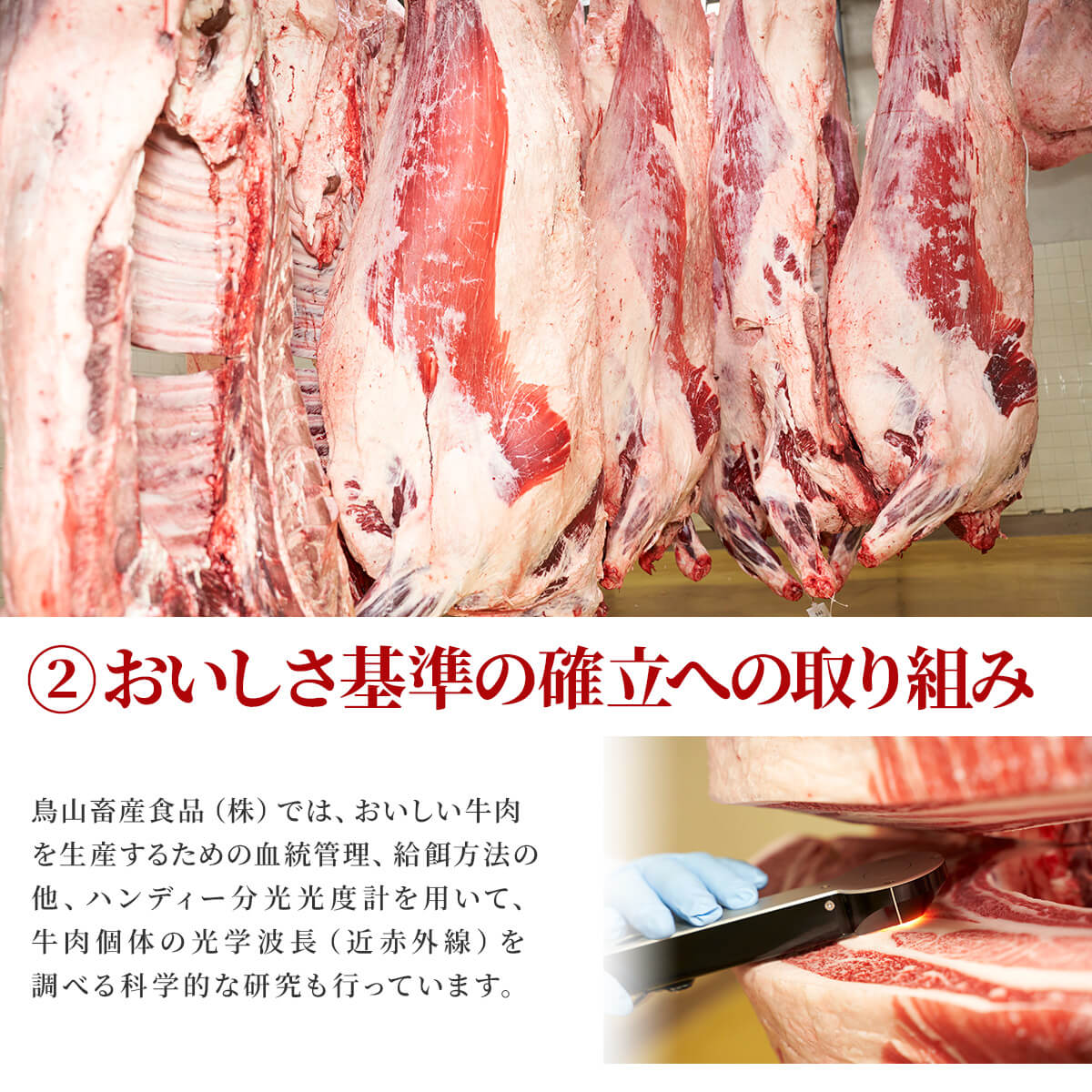 肉 お肉 牛肉 国産 赤城牛ヒレ ステーキ100g×2枚 ギフト 冷凍 真空　送料無料 内祝 御祝 |  | 08