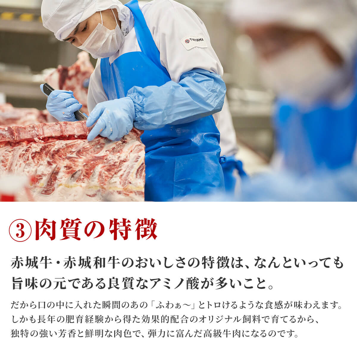 肉 お肉 牛肉 国産 赤城牛ヒレ ステーキ100g×2枚 ギフト 冷凍 真空　送料無料 内祝 御祝 |  | 09