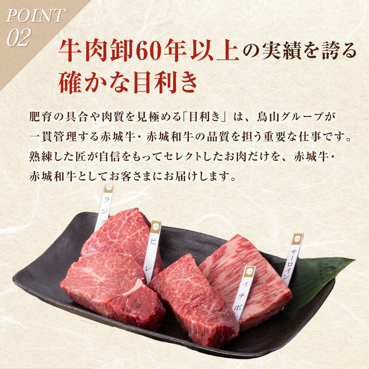 アイシア チキンとかつお生活 プレーン 60g×3 : XPRICE Yahoo!店