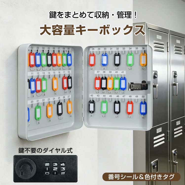 キーボックス 壁掛け ダイヤル 50本 タグ付き 鍵 ボックス 鍵ボックス