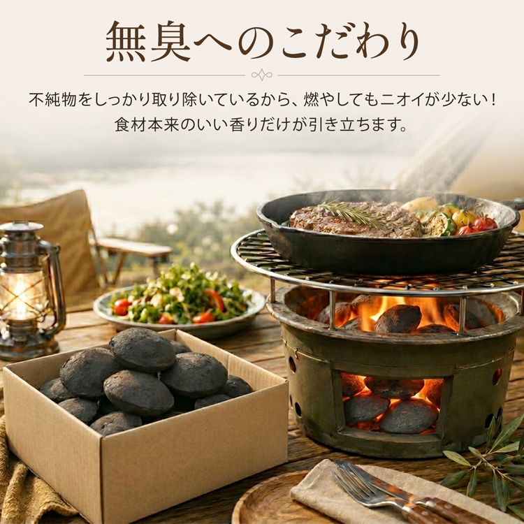 Hill Stone（ヒルストーン） オガ炭 10kg 成形炭 バーベキュー 炭 木炭