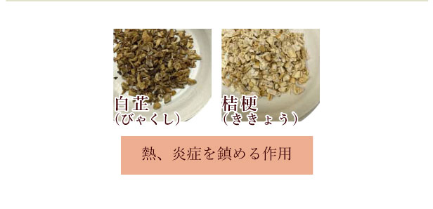 Amazon | 【第2類医薬品】カッ香正気散エキス〔細粒〕38 12包 ×4