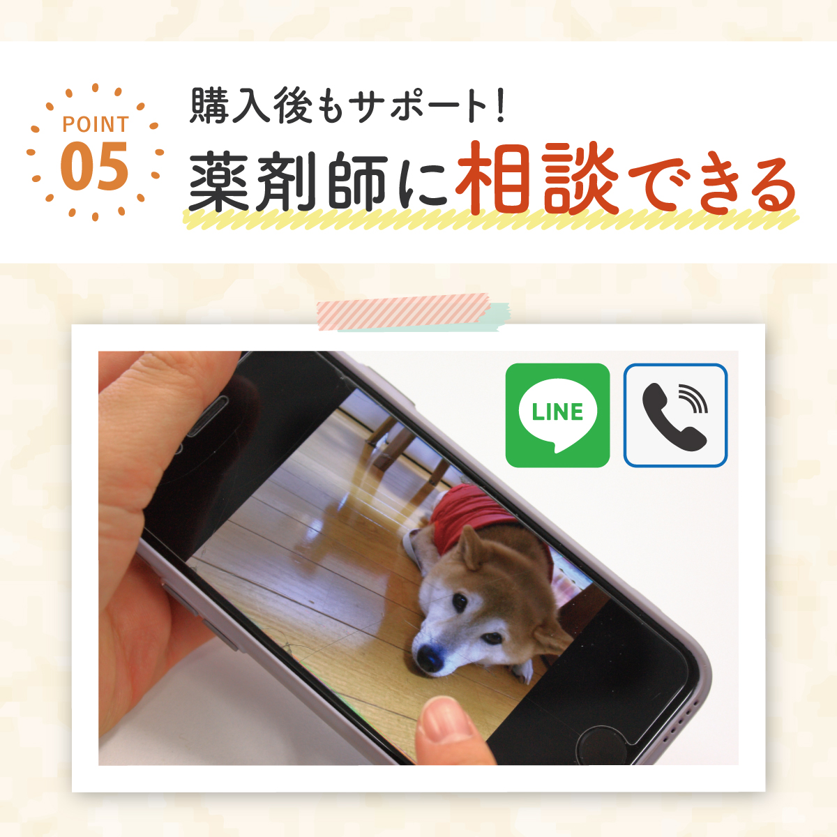 わんぽうやく ニコニコサプリ 和漢素材20g 犬用サプリメント 赤尾