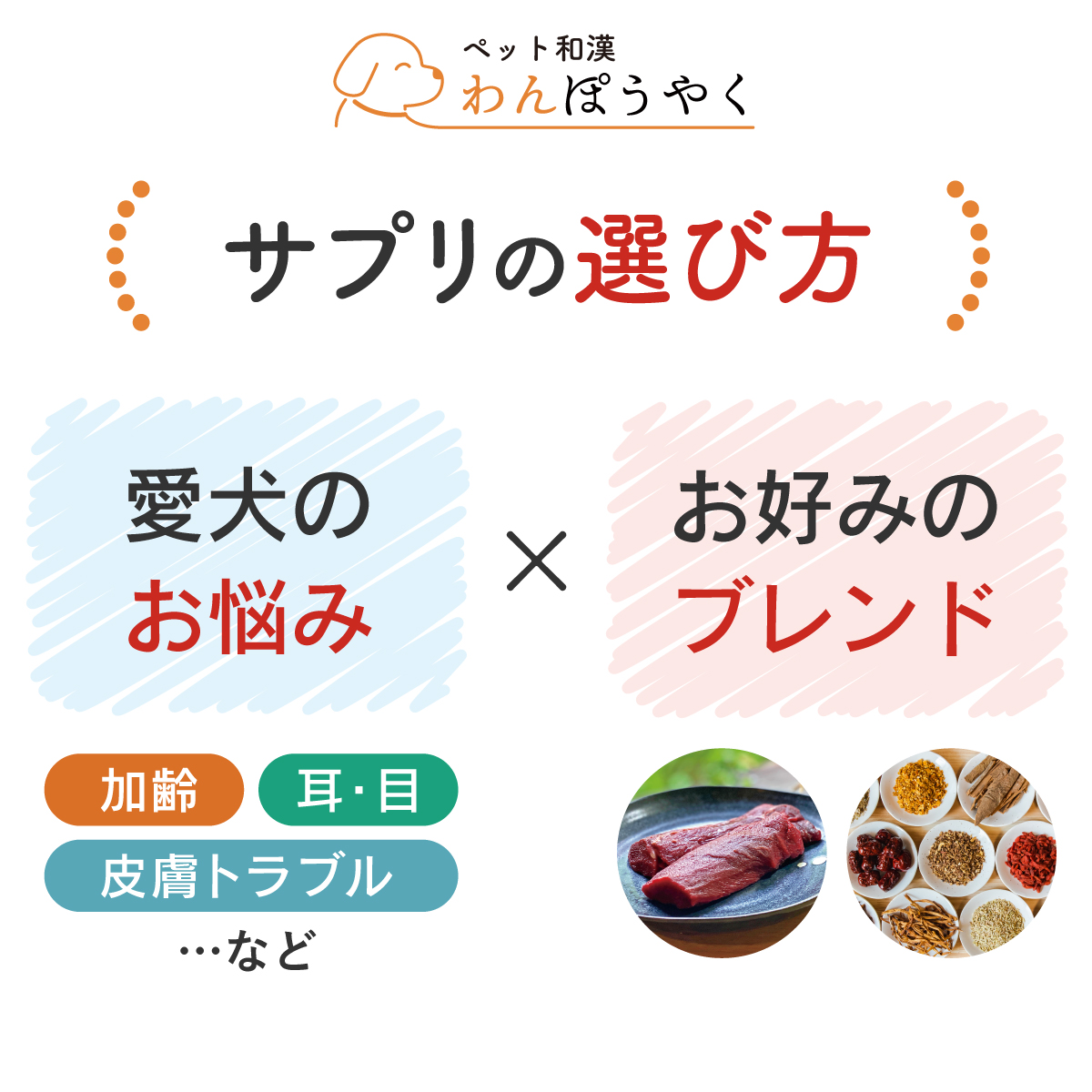 わんぽうやく ニコニコサプリ 和漢素材20g 犬用サプリメント 赤尾
