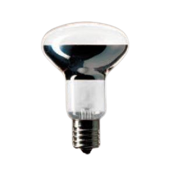 Panasonic（パナソニック） LDS110V54WWK25K ミニクリプトン電球 110V