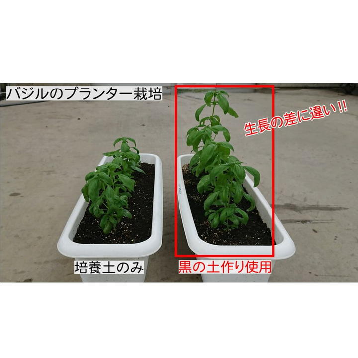 黒の土作り FFCバーク堆肥