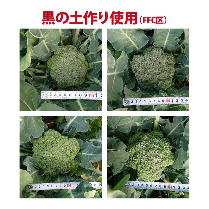 黒の土作り FFCバーク堆肥