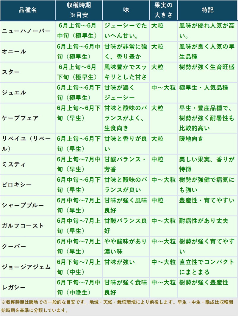 ブルーベリー苗 サザンハイブッシュ系 選択可能品種（ニューハノーバー
