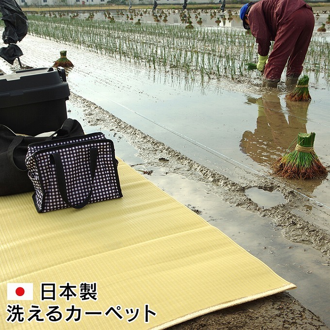 い草 調 ラグ カーペット マット 洗える 日本製 PPカーペット 江戸間2