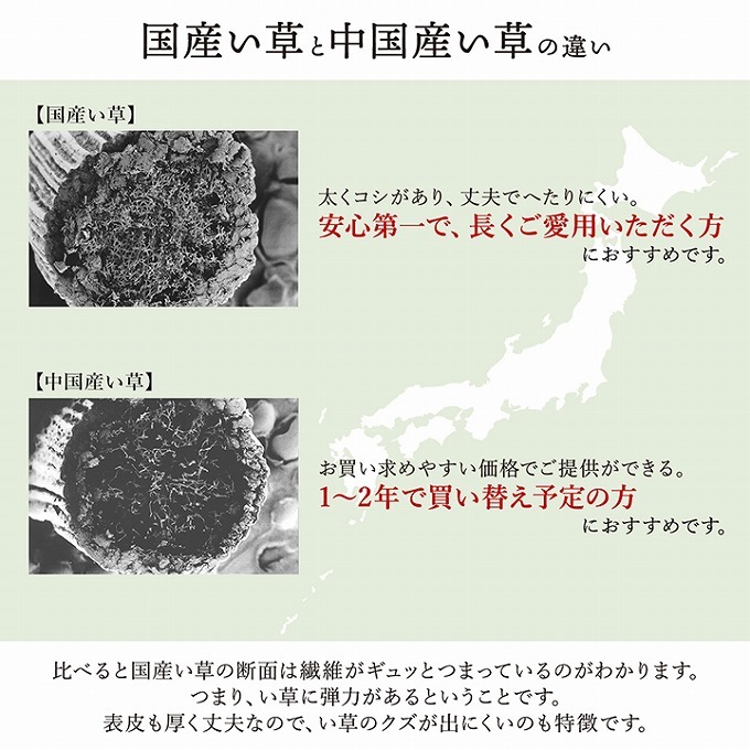 い草 ラグ カーペット マット 花ござ おしゃれ 江戸間1畳 87×174 日本