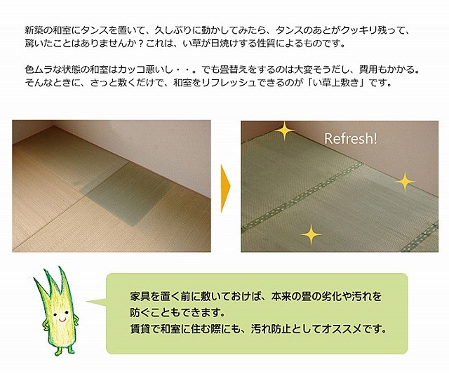 い草 上敷き い草カーペット 日本製 畳カバー 本間4.5畳 286×286 市松 