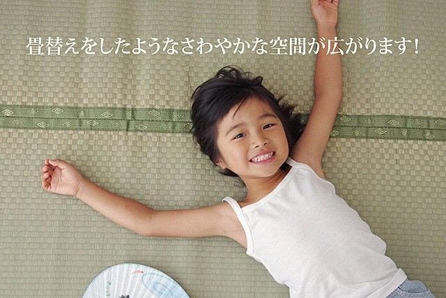 い草 上敷き い草カーペット 日本製 畳カバー 三六間3畳 182×273 市松