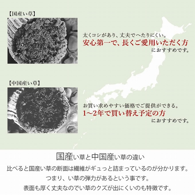 い草ラグ カーペット 日本製 ござ 正方形 2畳 約191×191cm 裏面不織布